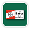Bayer 04 Leverkusen 1993