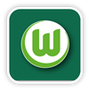 VfL Wolfsburg 2015
